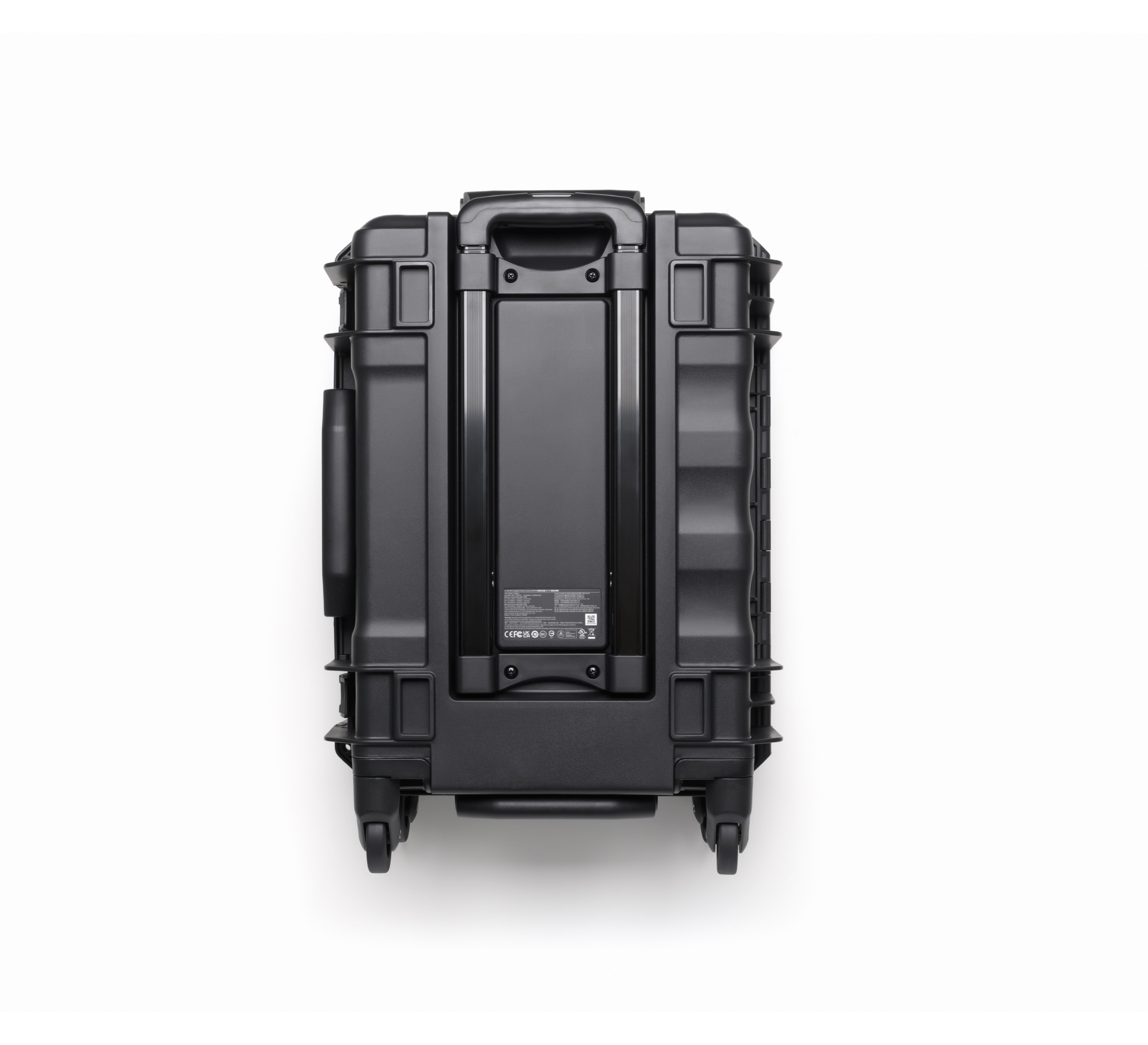 BS100 Intelligent Battery Station