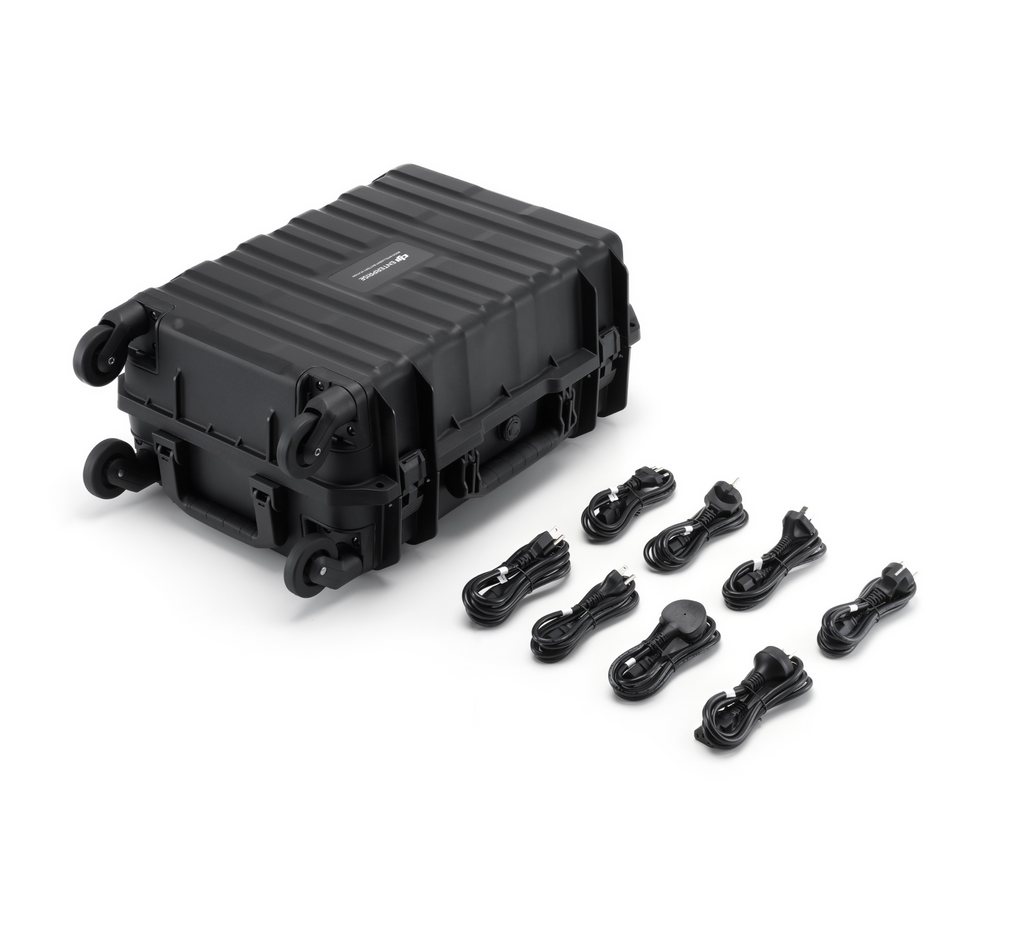 BS100 Intelligent Battery Station